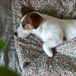 Floral Vine Bedset 70x80 Cm, Light Warmgray -Beddengoed Korting garbo friends floral vine bedset se 8